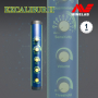 Excalibur 2 Minelab - Pack Casque Étanche