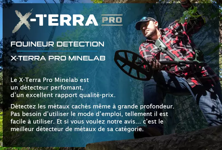 Minelab X-Terra Pro : Avis d'experts